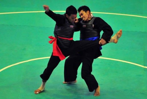 Harga 1 Set Matras Pencak Silat